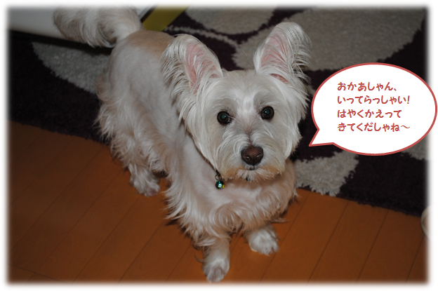 b0242873_1233520.png