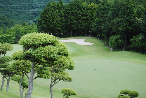 b0242873_1491660.jpg