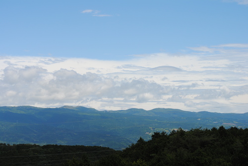 b0242873_234596.jpg