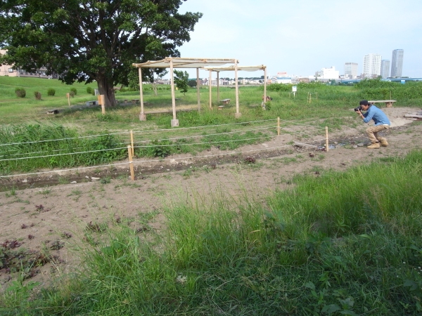 c0091679_1161730.jpg