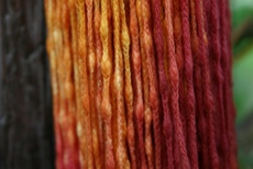 c0057781_18535475.jpg