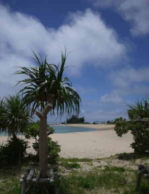 f0165392_10282718.jpg