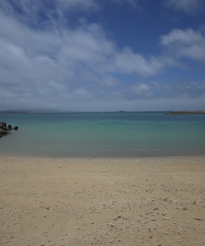 f0165392_1028404.jpg