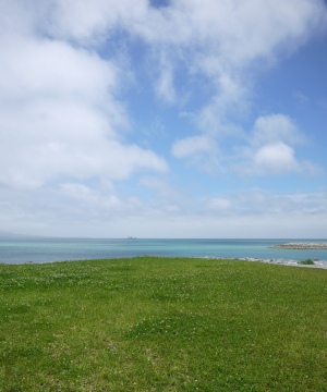 f0165392_2219584.jpg
