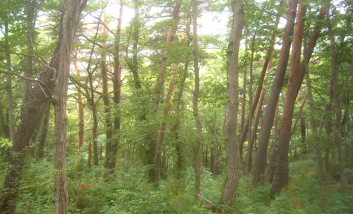 b0099994_18231972.jpg