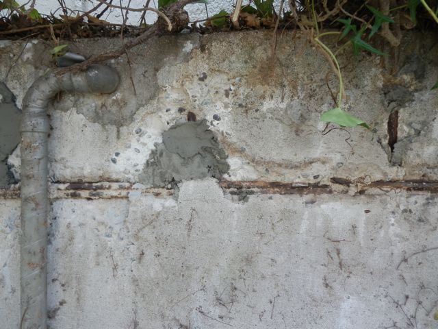 f0130894_21132222.jpg