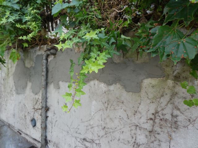 f0130894_21175876.jpg