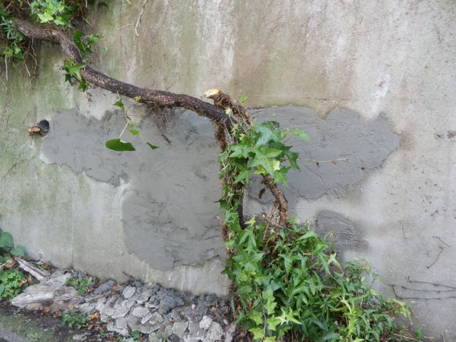 f0130894_2118232.jpg