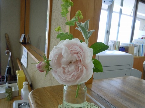 c0117007_2029259.jpg