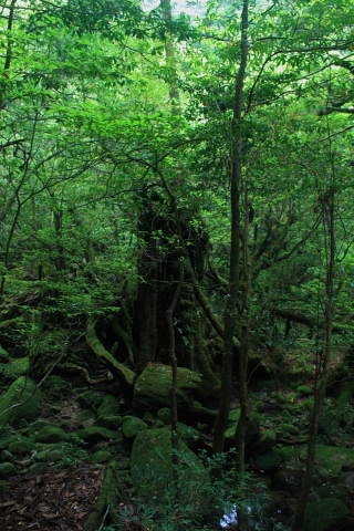 d0077811_13101710.jpg