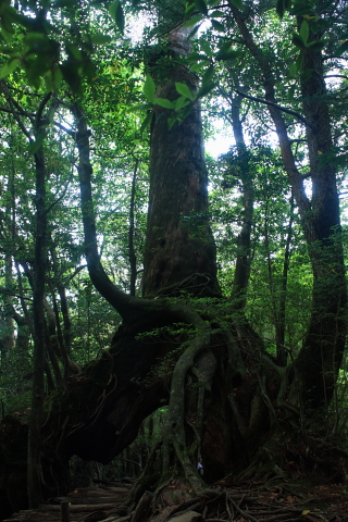 d0077811_13102734.jpg