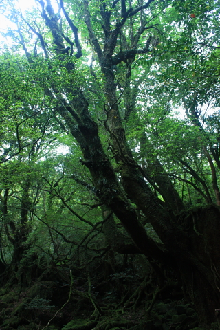 d0077811_13111374.jpg
