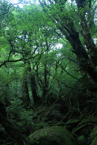 d0077811_1311266.jpg