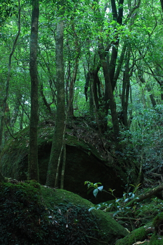 d0077811_1393661.jpg