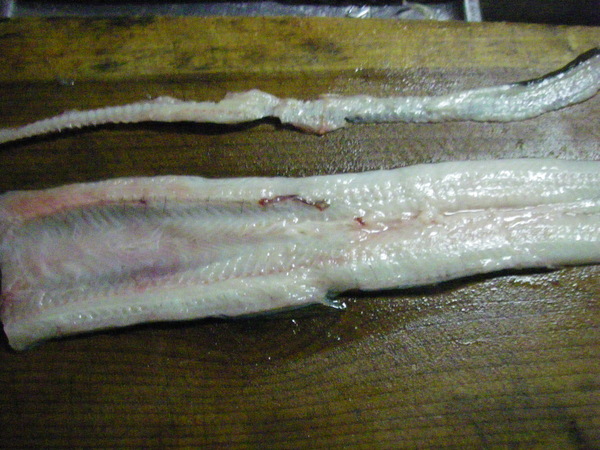 a0218118_14451196.jpg