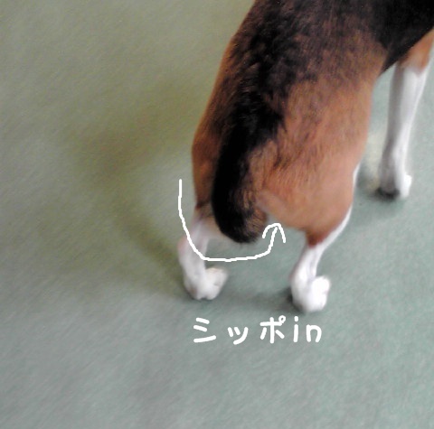 c0166622_1484552.jpg