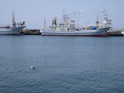 f0158625_1621216.jpg