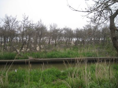 f0158625_1674280.jpg