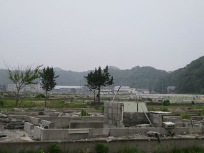 f0158625_1693127.jpg