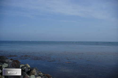 c0227134_13164519.jpg