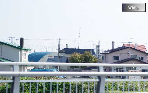 c0227134_1372525.jpg