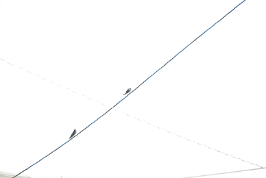 a0146536_23382831.png