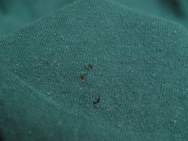 c0177238_15493982.jpg