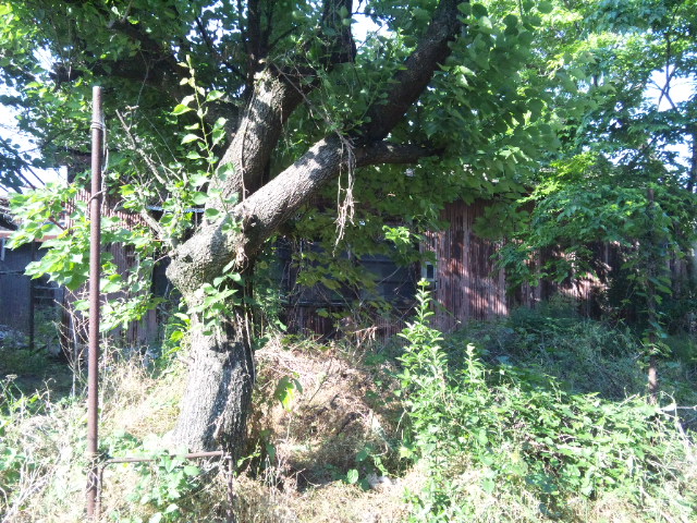 d0244839_01145.jpg