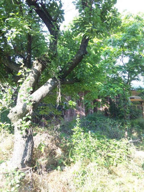 d0244839_0114835.jpg