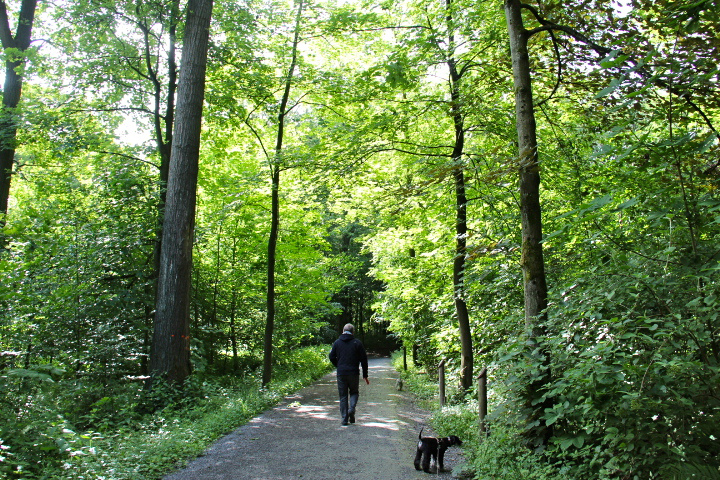 c0153740_18183859.jpg