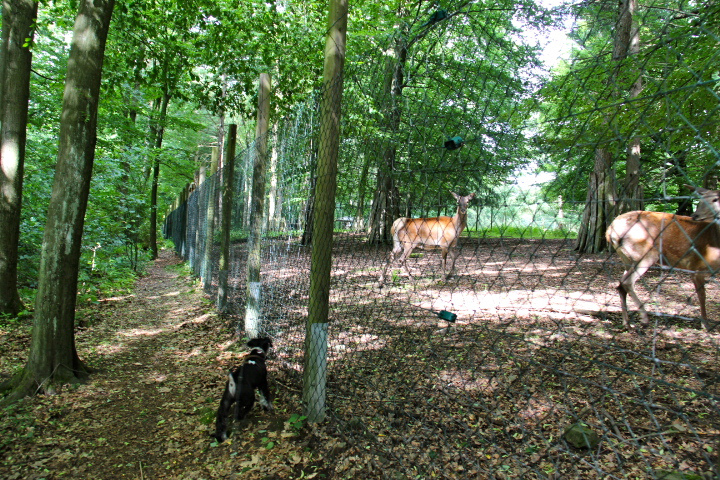 c0153740_18253388.jpg