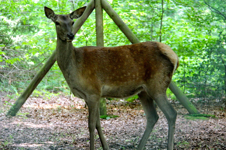 c0153740_1825911.jpg