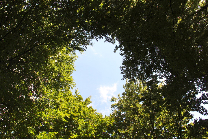 c0153740_18291599.jpg