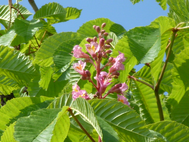 c0233141_11445019.jpg