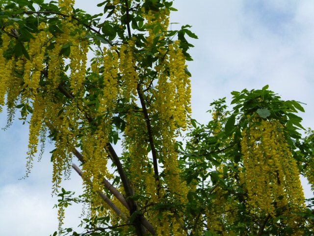 c0233141_164941.jpg