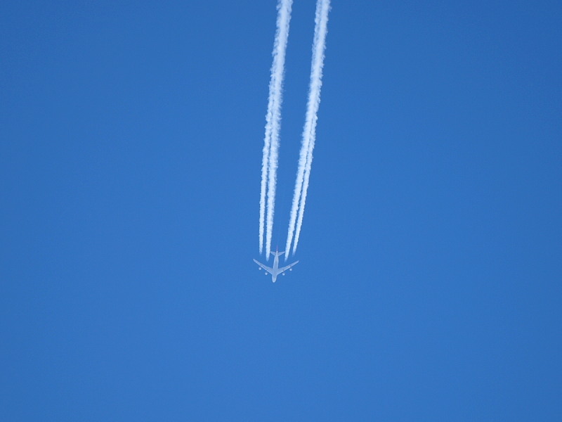 a0106043_1654257.jpg