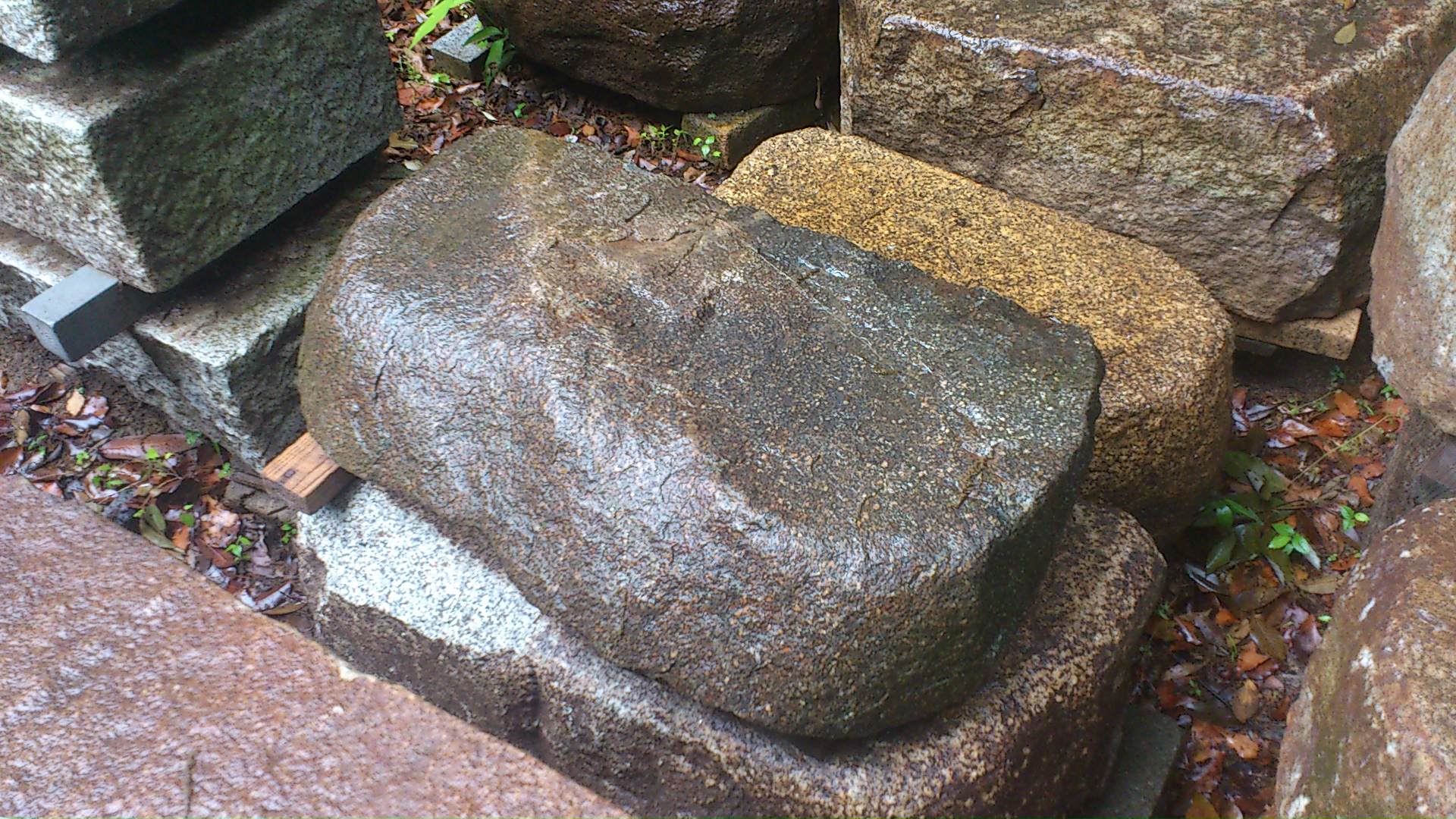e0126548_10272153.jpg
