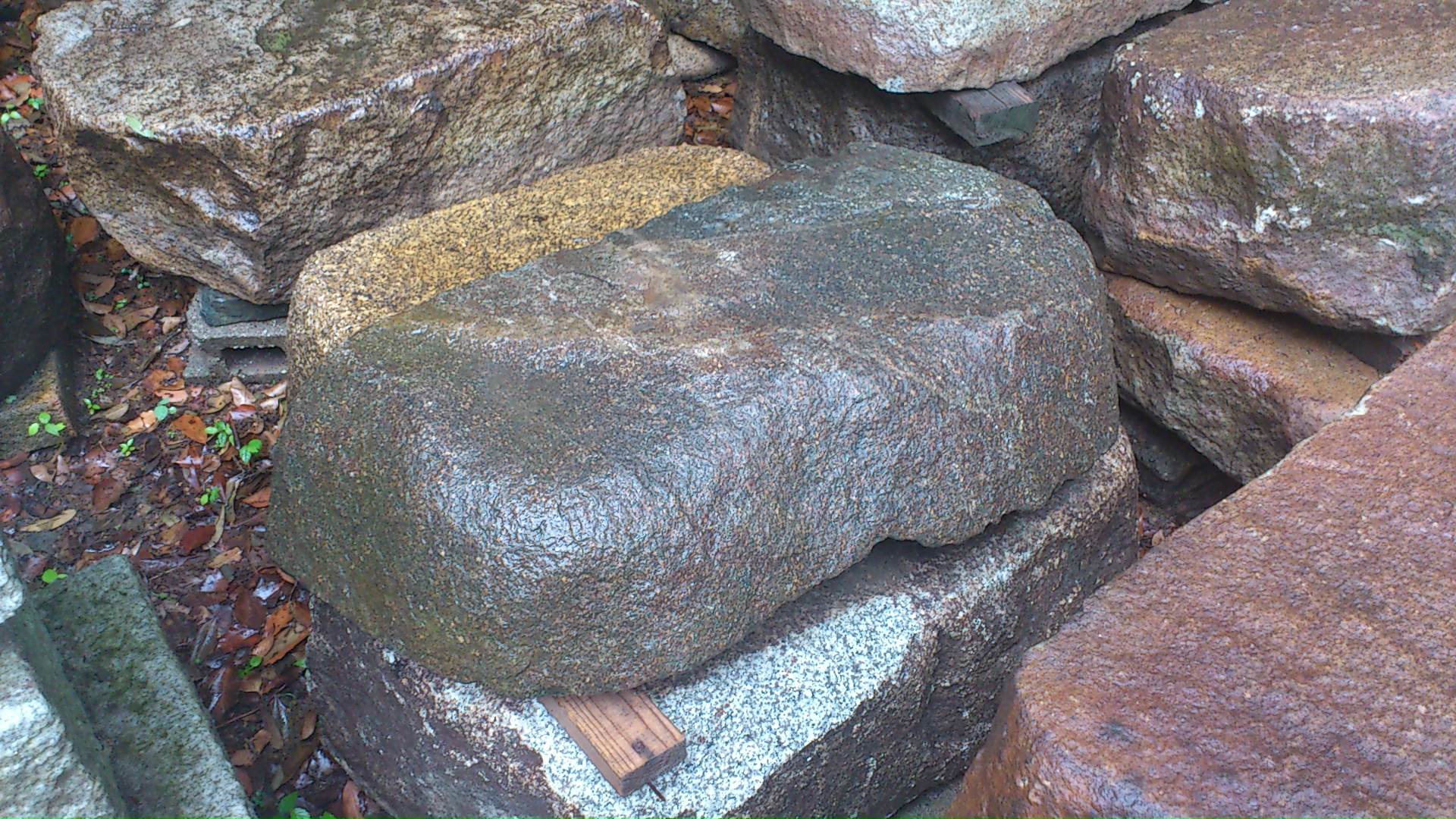 e0126548_10273619.jpg