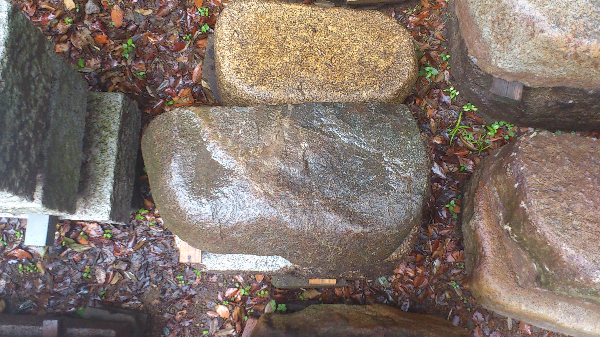 e0126548_10275183.jpg