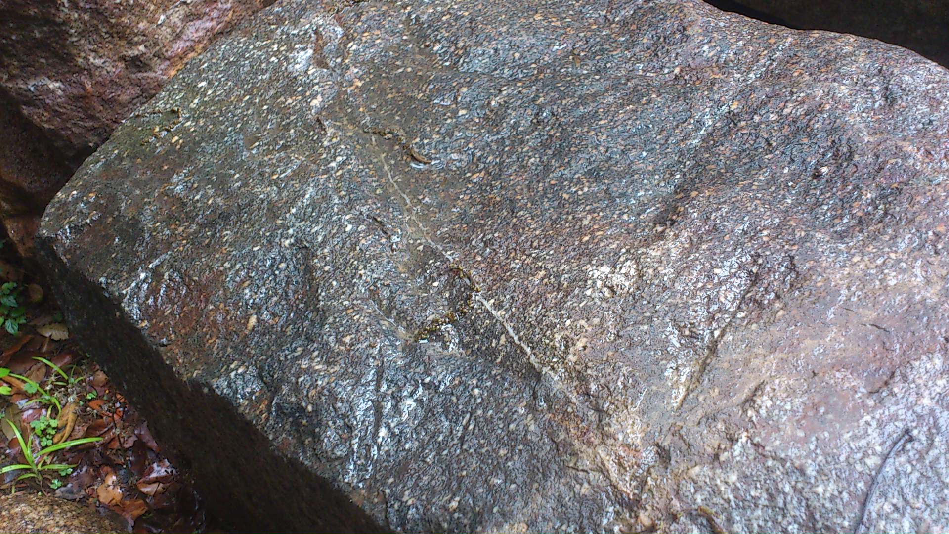 e0126548_1028259.jpg