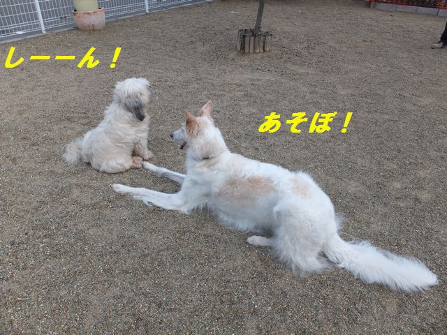 a0130451_22451100.jpg