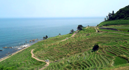 f0178153_1374045.jpg
