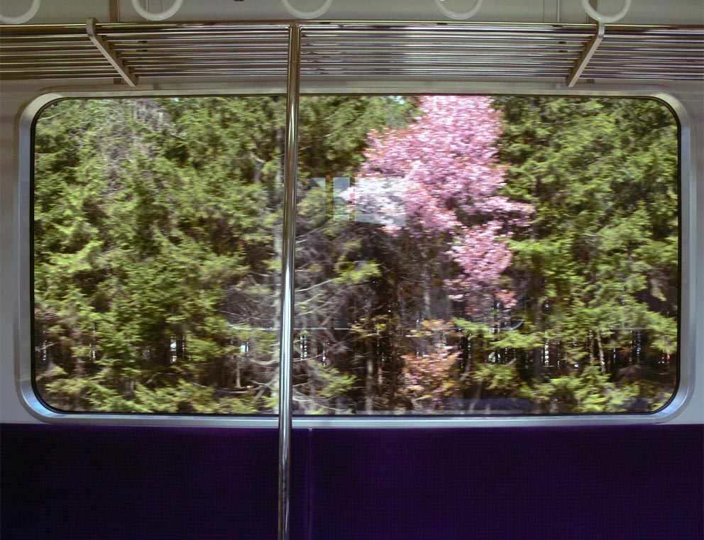 f0027355_2359428.jpg