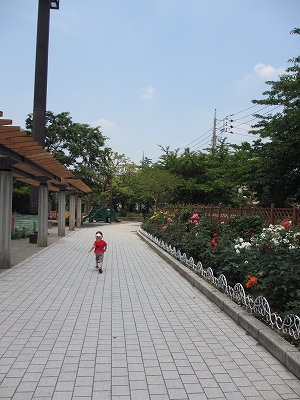 b0145863_239676.jpg
