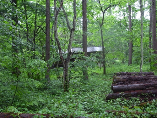 c0166668_21201696.jpg