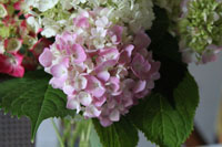 c0117570_1445279.jpg