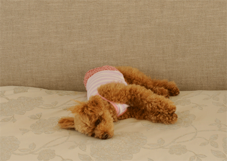 c0196673_18371455.gif