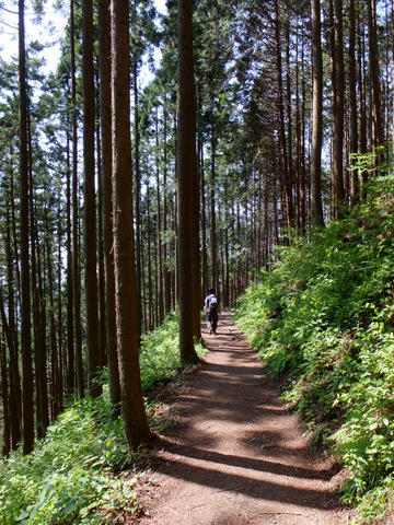 a0043982_1931974.jpg