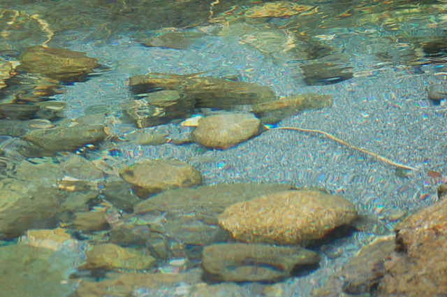 d0179983_19135335.jpg