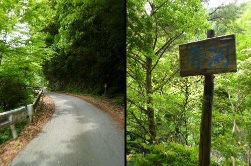 d0179983_19143794.jpg